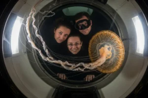 Integrating AI Coaching into New Hire Onboarding