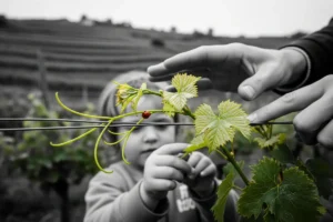 Applying Integral Lines of Development to Identify Skill Gaps