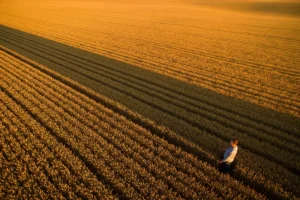 Understanding AI-Driven Skill Gap Analysis for Succession Roles