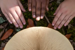 Leading Enterprise-Wide Agility for CEOs