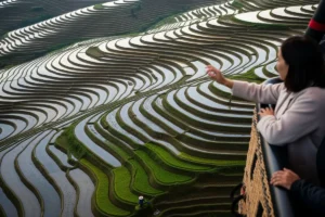 Inclusive Mentoring for Diverse Leadership Growth