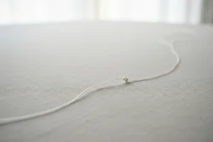 Understanding Integral Metatheory in AI Coaching Ethics