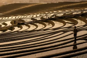 Board’s Role in Building an Internal CEO Succession Pipeline