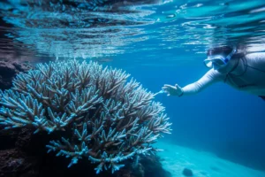 Building a Strong Learning Culture in Hybrid and Remote Teams