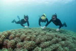 Understanding Risk Mitigation and Consistency in Coaching