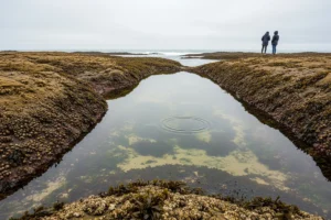 How to Spot Real AI Transformation from AI Washing